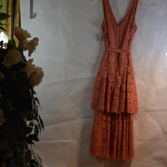 Lace Dress 2 Tiers Taylor 14 NWT - Picture 6 of 7
